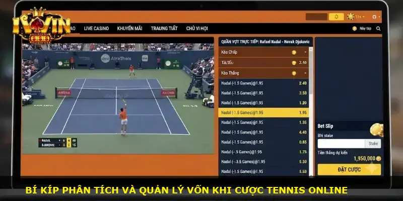 Cá cược tennis iWin - ảnh 3