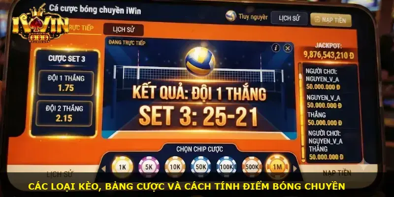 Cá cược bóng chuyền iWin - ảnh 2