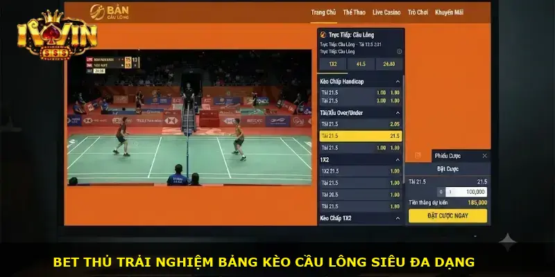 Cá cược cầu lông iWin - ảnh 2