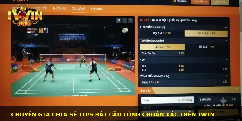 Cá cược cầu lông iWin - ảnh 3